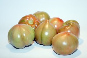 tomate valenciano